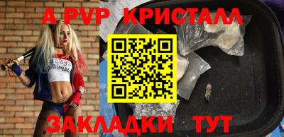 СК Рязань