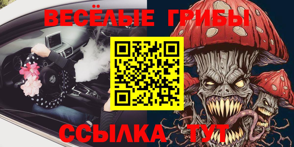 Туймазы  где купить наркоту  Вход с VPN  Псилоцибиновые грибы Psilocybine cubensis 
